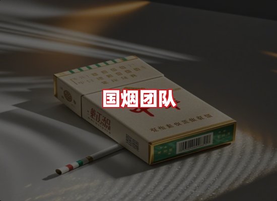 国烟团队
